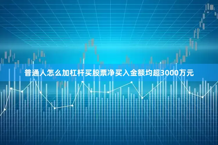 普通人怎么加杠杆买股票净买入金额均超3000万元