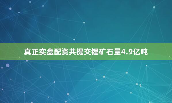 真正实盘配资共提交锂矿石量4.9亿吨