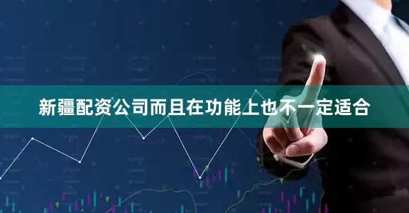 新疆配资公司而且在功能上也不一定适合