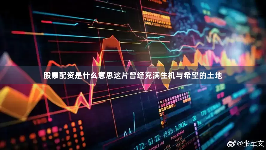股票配资是什么意思这片曾经充满生机与希望的土地